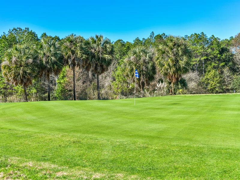 Golf Course for Sale Turn Key : Bonifay : Holmes County : Florida