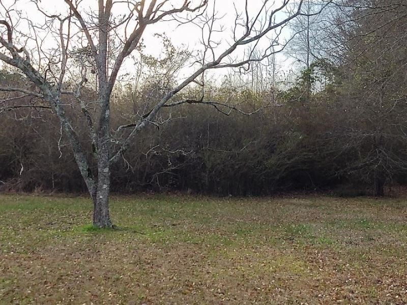 20 Acres In Lincoln County In Brook : Brookhaven : Lincoln County : Mississippi