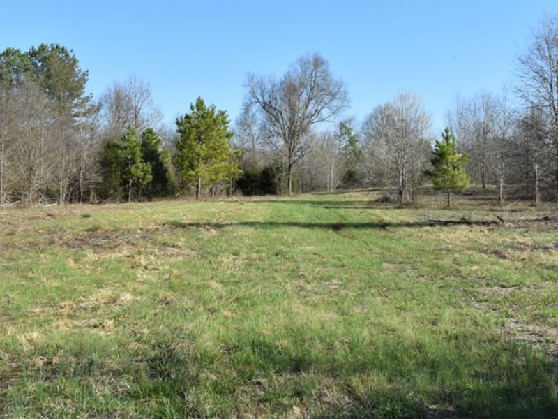 Perfectly Situated, Endless Possib : Calhoun : Gordon County : Georgia