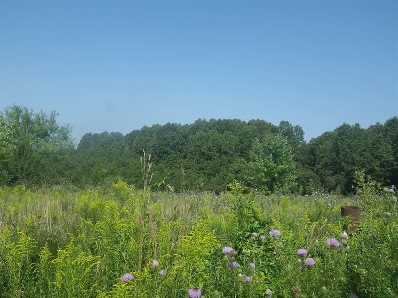 Land for Sale, Great Location : Birch Tree : Shannon County : Missouri