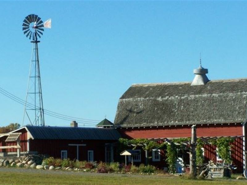Turnkey Vineyard & Winery Mille : Isle : Mille Lacs County : Minnesota
