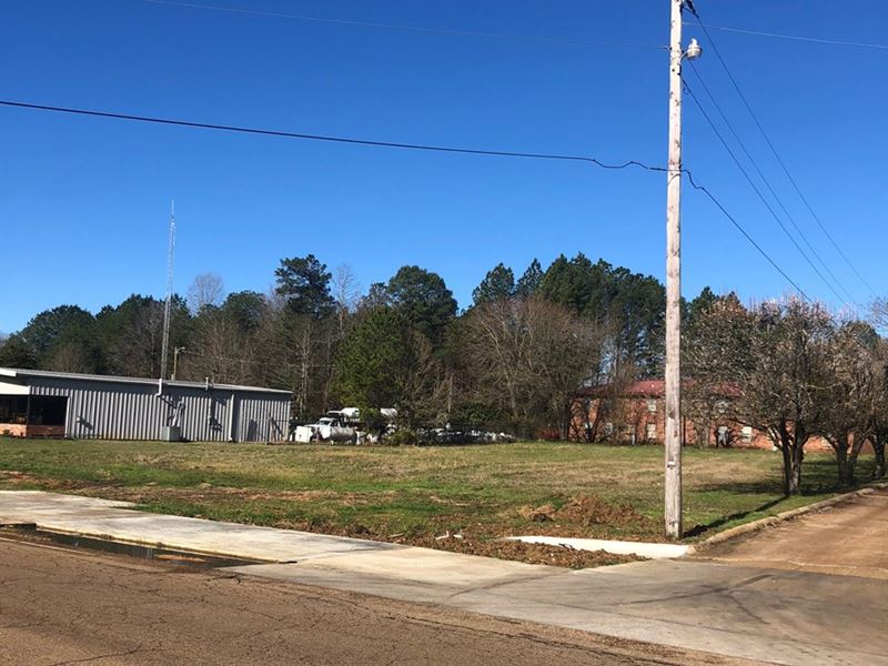 Lot, Louisville St, Starkville, MS : Starkville : Oktibbeha County : Mississippi