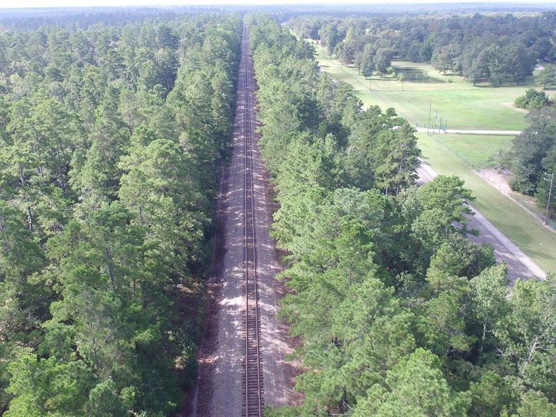 2005 Acres Adjoins National Forest : New Waverly : Walker County : Texas