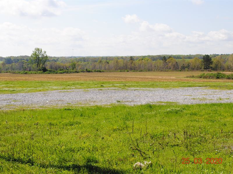 Chilton County Industrial Land : Clanton : Chilton County : Alabama