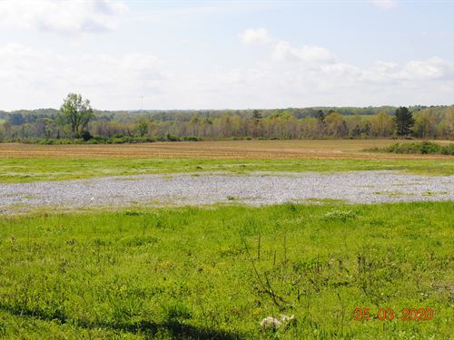 Chilton County Industrial Land : Clanton : Chilton County : Alabama