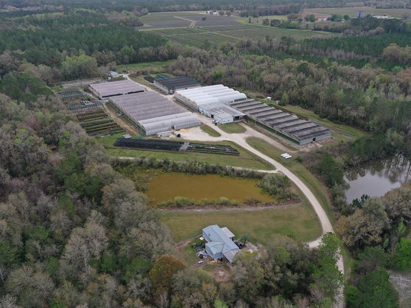Alachua County Propagation Nursery : Gainesville : Alachua County : Florida
