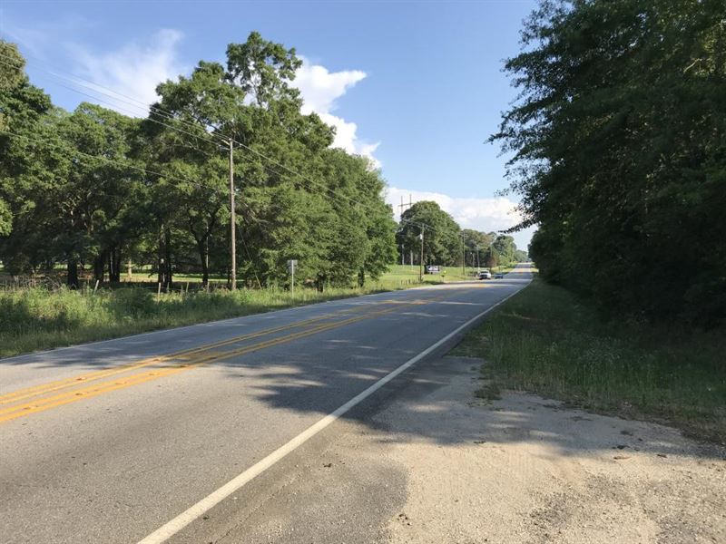 Celeste Salco Road Development : Chunchula : Mobile County : Alabama
