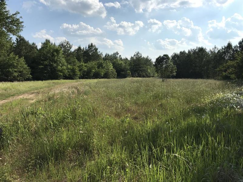 Celeste Salco Road Development : Chunchula : Mobile County : Alabama