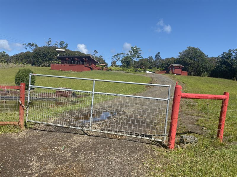8 Coarse Zip Line Adventure Park : Paukaa : Hawaii County : Hawaii