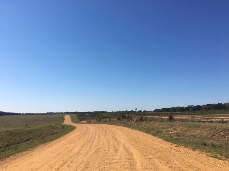 40 Commercial Acres : McComb : Pike County : Mississippi