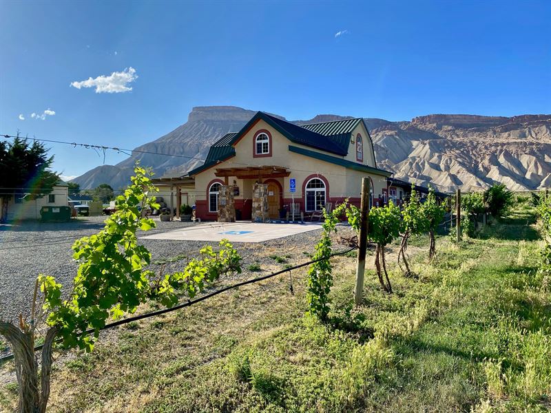 Colorado Vineyard Winery Country : Palisade : Mesa County : Colorado