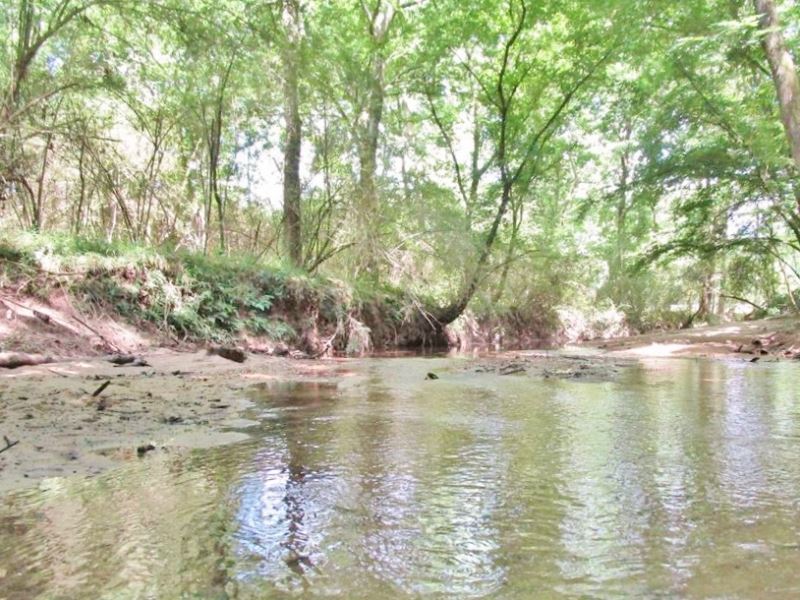 Commercial Develompent Opportunity : Brookhaven : Lincoln County : Mississippi
