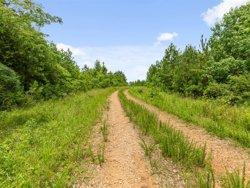 23+/- Acres Near Tva : Hollywood : Jackson County : Alabama
