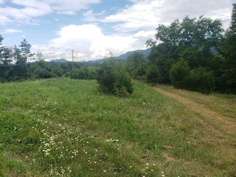7.25 Acres Commercial Land Cedar : Cedar Bluff : Tazewell County : Virginia