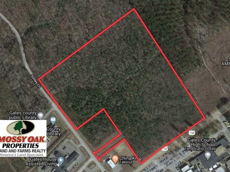 26.75 Acres of Land for Sale in GA : Gatesville : Gates County : North Carolina