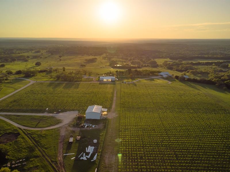 Hill Country Winery & Vineyard 150 : Lometa : Lampasas County : Texas