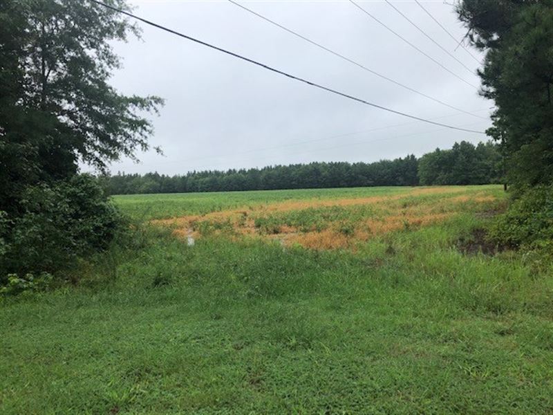 Commercial Land in Southern VA : Dinwiddie : Dinwiddie County : Virginia