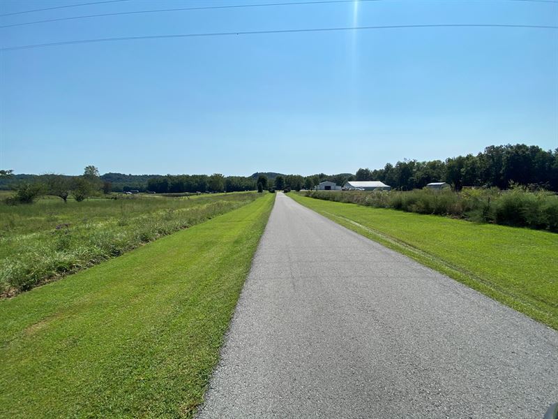 Big Cat Pay Lake Business : Campbellsville : Taylor County : Kentucky