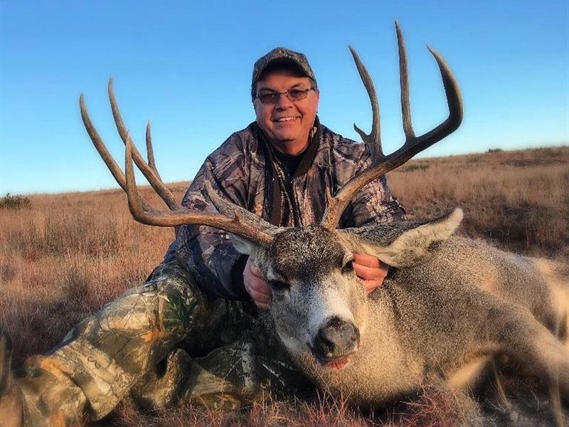 All American Outfitter : Clarendon : Donley County : Texas
