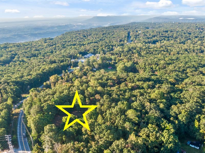 Potential Development Land : Signal Mountain : Hamilton County : Tennessee