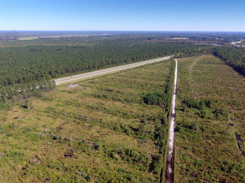 Mwf, Marion Tract : Marion : Marion County : South Carolina