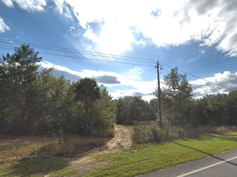 Zoned Residential Light Commercial : Interlachen : Putnam County : Florida