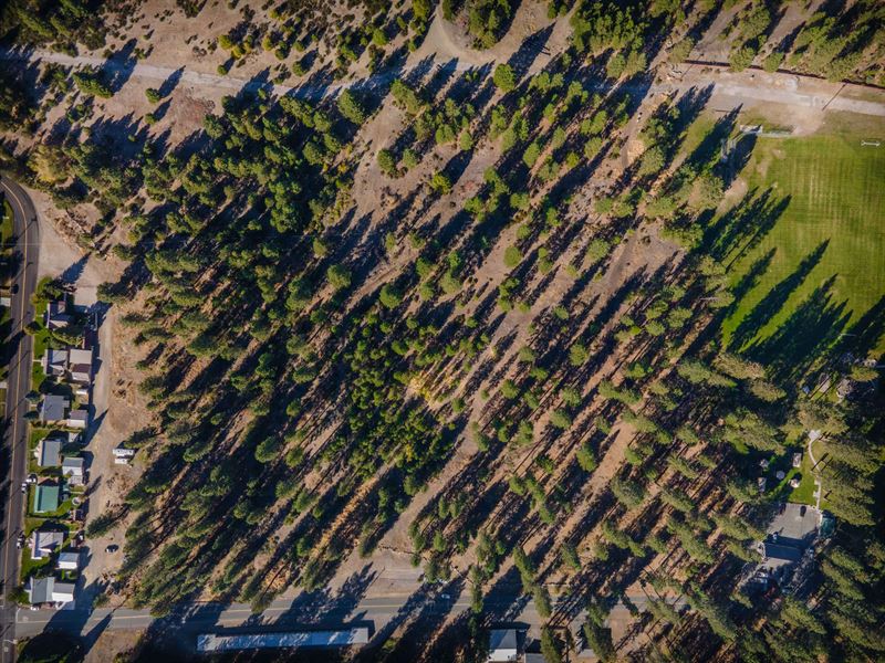 Development Opportunities Near Park : McCloud : Siskiyou County : California