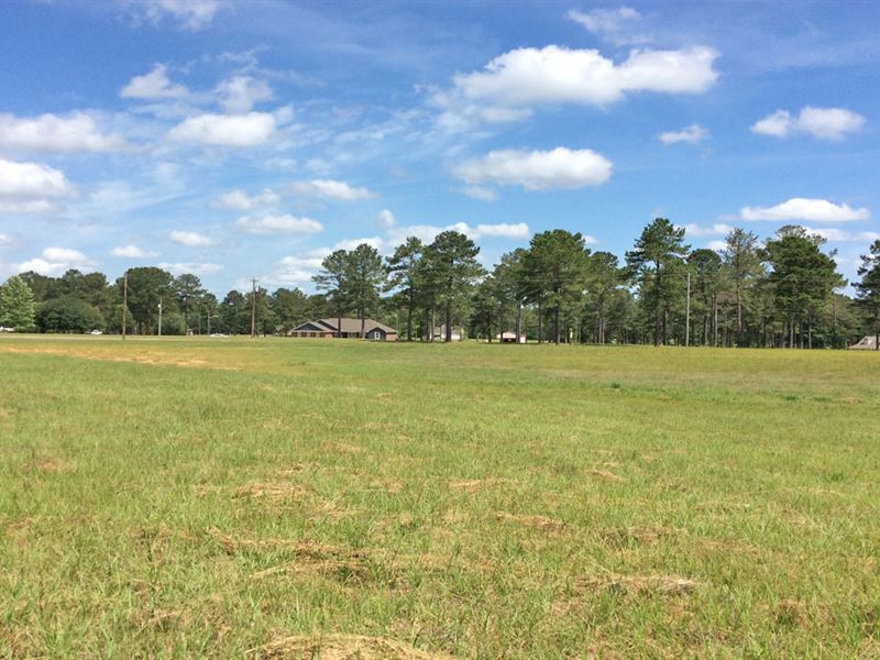 3.8 Acres, Hwy 29 Road Frontage : Luverne : Crenshaw County : Alabama