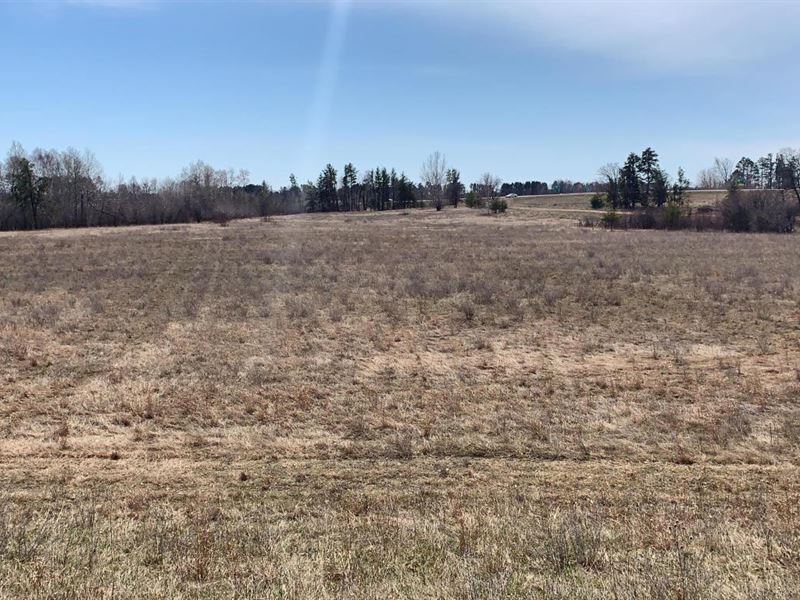 MN Commercial Development Land : Bemidji : Beltrami County : Minnesota