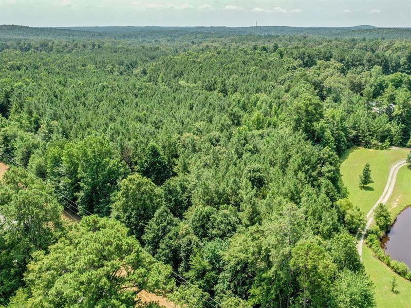 Newly Created 4 Lot Subdivision : Pittsboro : Chatham County : North Carolina