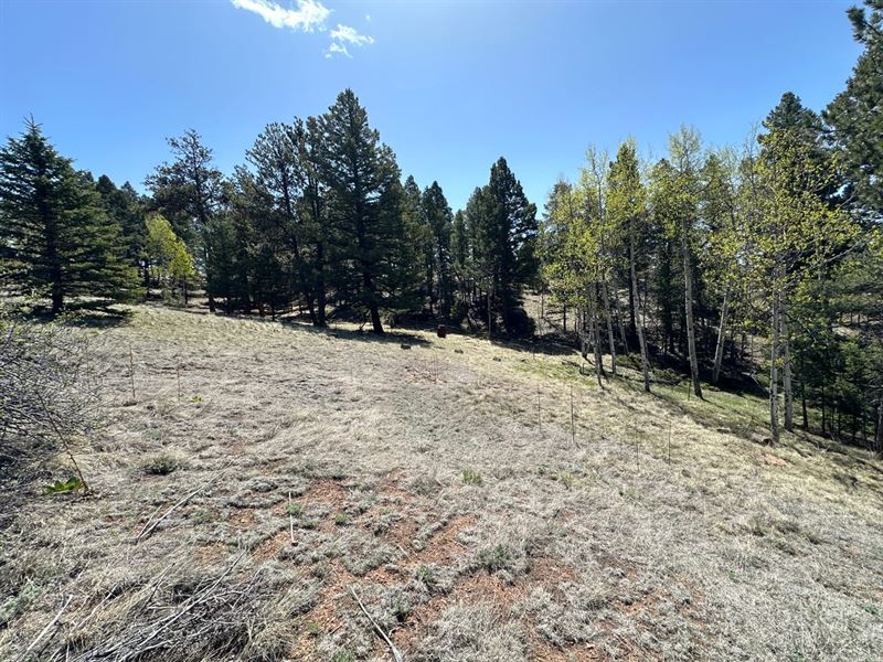 Kenosha Way : Florissant : Teller County : Colorado