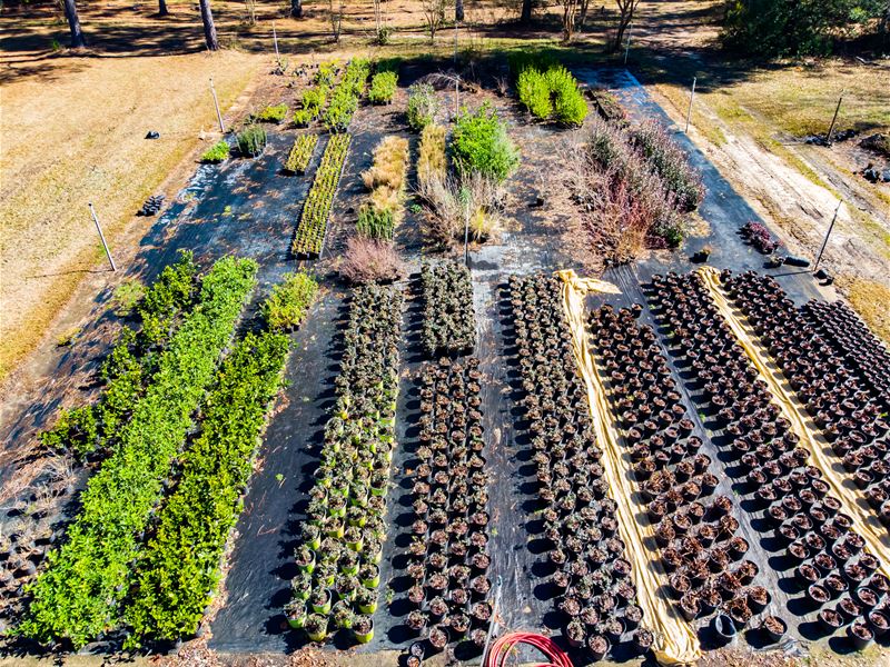 Wholesale Plant Nursery Land / Home : Vernon : Washington County : Florida