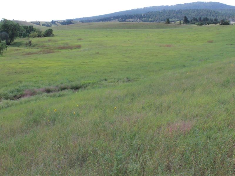 Sturgis SD Commercial / Development : Sturgis : Meade County : South Dakota