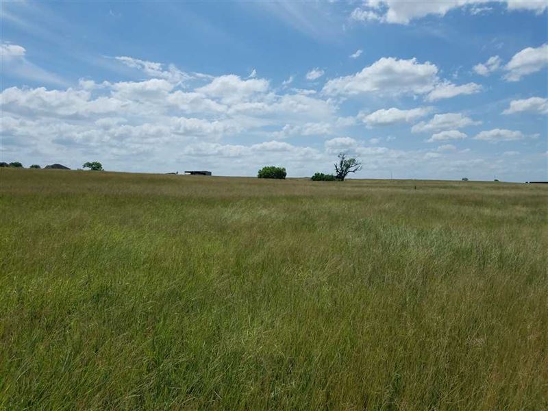 Shaw Grass Flat : Falls City : Karnes County : Texas