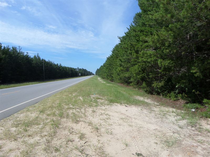 Louisiana Sand Hill Tract 4 : Jesup : Wayne County : Georgia