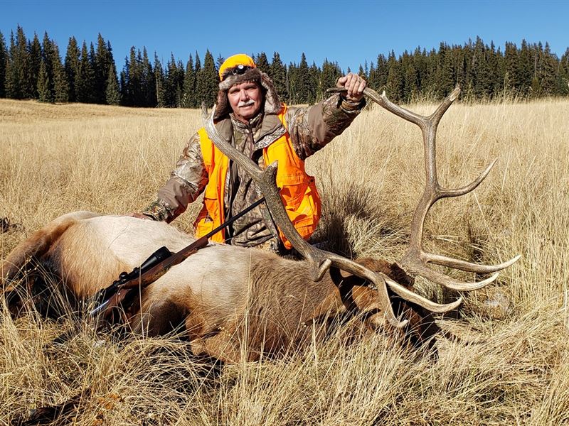 Western Colorado Outfitting : Gunnison : Gunnison County : Colorado