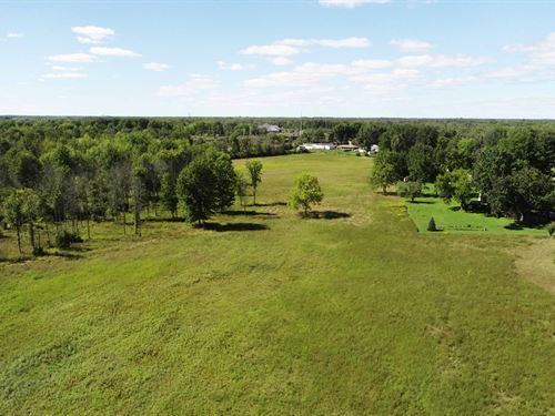 Balanced Wooded & Wet Areas : Dewitt : Onondaga County : New York