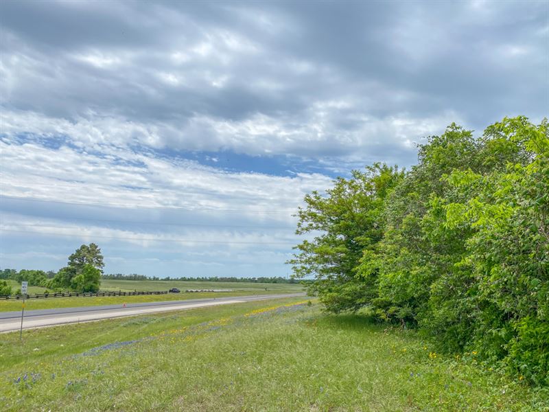 117 Acres McGary Creek : Huntsville : Walker County : Texas