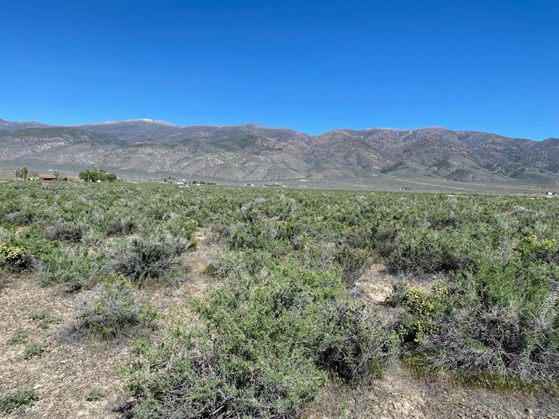 Commercial Land Humboldt River : Lovelock : Pershing County : Nevada