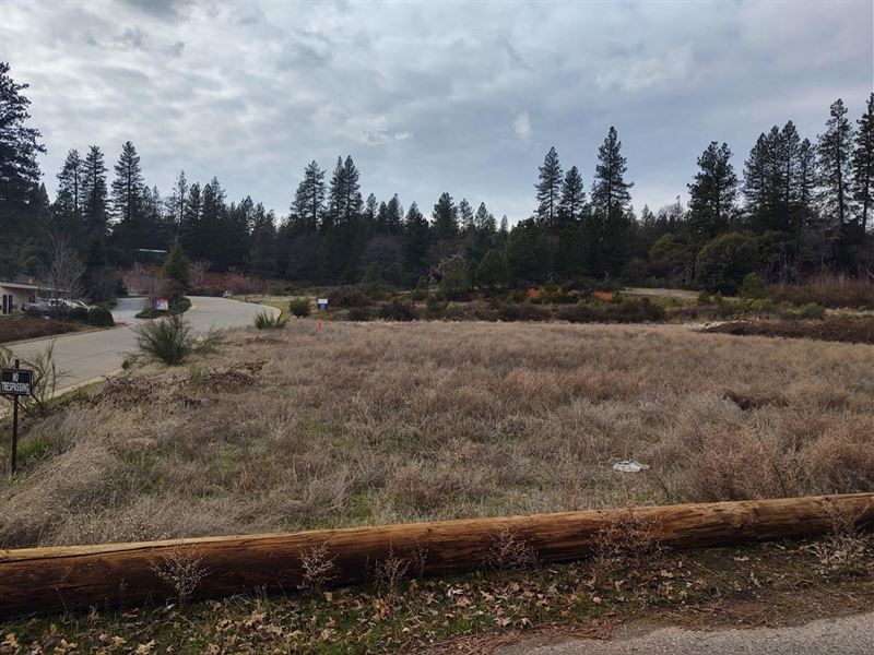 Industrial Colfax Property : Colfax : Placer County : California