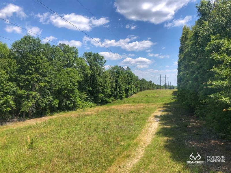 Multiple Use Undeveloped Land : Sylvania : Screven County : Georgia