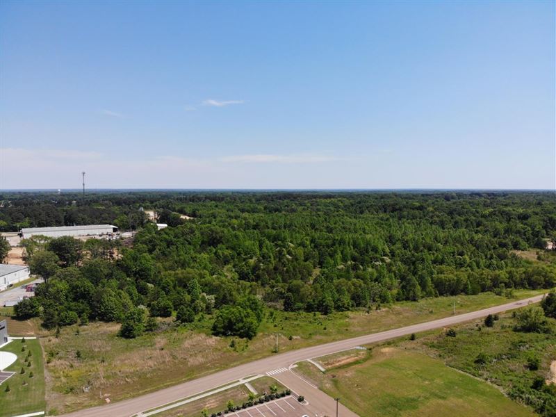 105+/- Acres Development Land : Hernando : DeSoto County : Mississippi