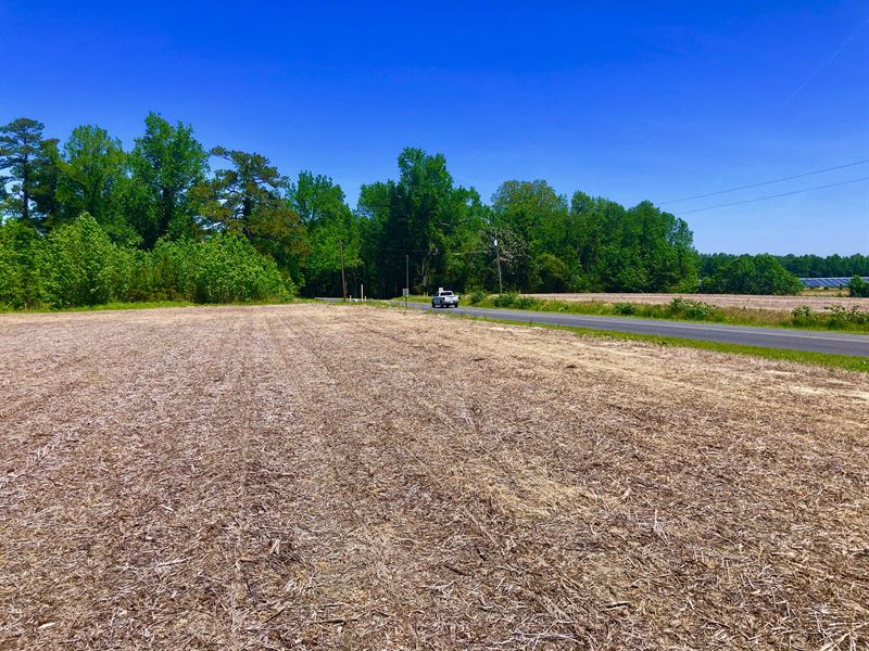 Development Land in Beaufort County : Chocowinity : Beaufort County : North Carolina