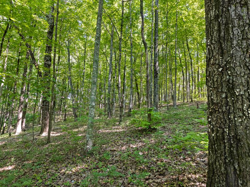 Build in Gated Community : Signal Mountain : Hamilton County : Tennessee