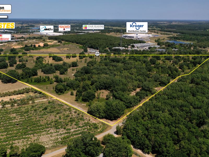 O'brien Rd Commercial Acreage : Groveland : Lake County : Florida