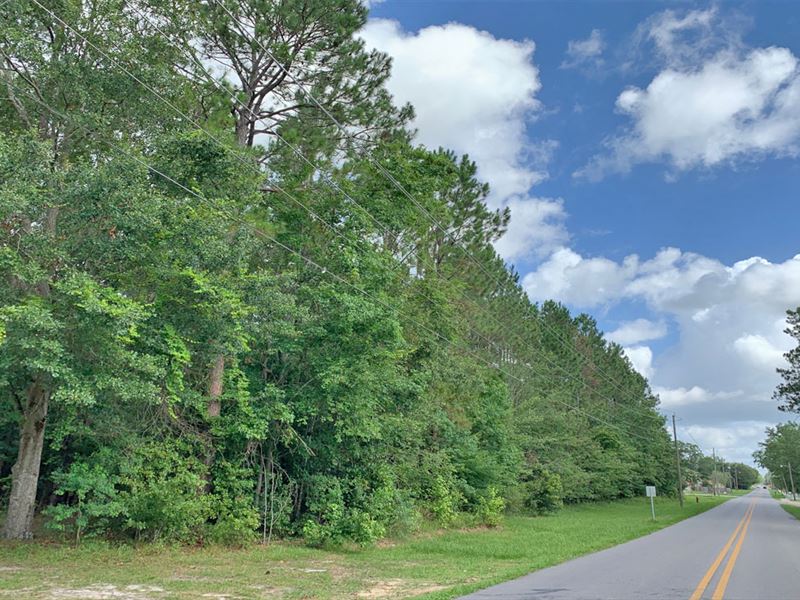 Old Bratt Rd Tract : Atmore : Escambia County : Alabama