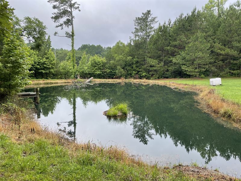 8.19 +/- Acres Zoned C-1 : Cartersville : Bartow County : Georgia
