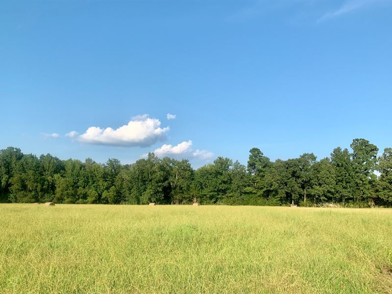 10.7 Acres in Oktibbeha County : Starkville : Oktibbeha County : Mississippi