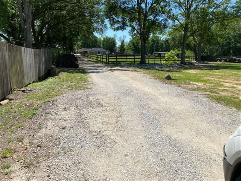 Well Maintained Acreage : Lafayette : Lafayette Parish : Louisiana