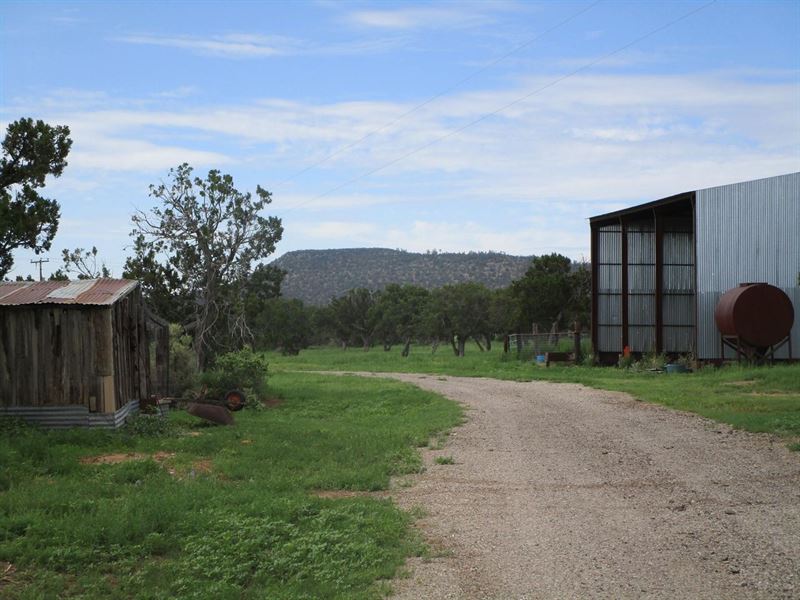 28 Sheffield Rd Corona NM : Corona : Torrance County : New Mexico